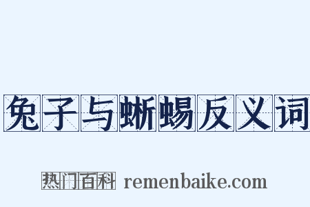 兔子与蜥蜴反义词是什么意思的图片